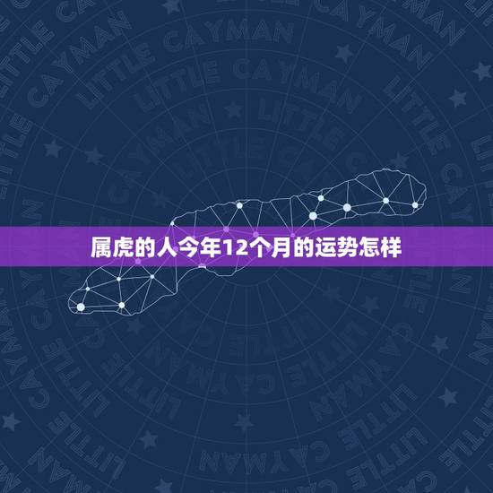 属虎的人今年12个月的运势怎样,属虎女性腊月的运气和财气如何 属虎的人今年12个月的运势怎样,属虎女性腊月的运气和财气如何