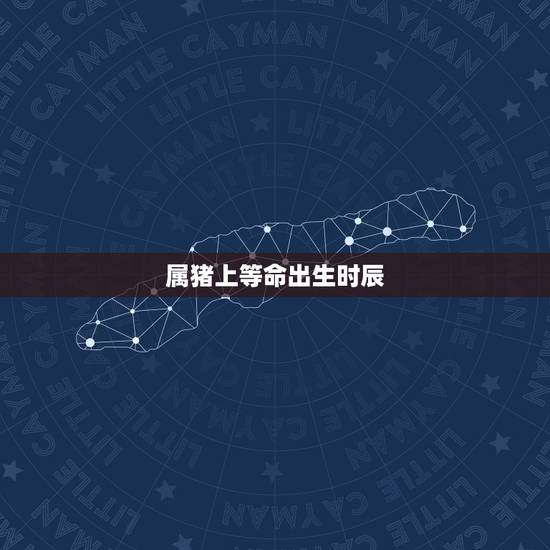属猪上等命出生时辰，命很好的生肖猪