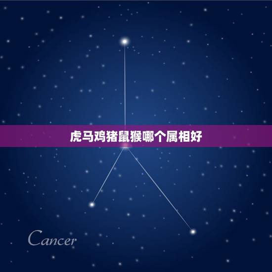 虎马鸡猪鼠猴哪个属相好,属猴的跟什么属相比较和,什么属相不和? 虎马鸡猪鼠猴哪个属相好,属猴的跟什么属相比较和,什么属相不和?