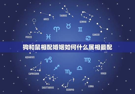 狗和鼠相配婚姻如何什么属相最配，属狗人和属鼠人相配婚姻会幸福吗