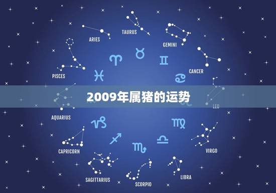 2009年属猪的运势，属猪 2009年运程