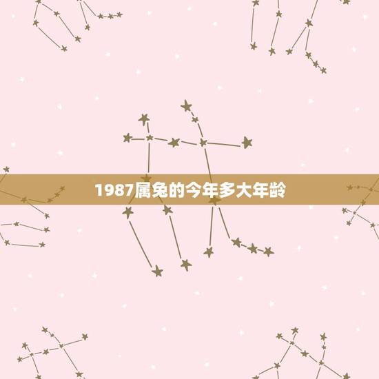 1987属兔的今年多大年龄,1987女兔命好不好 1987属兔的今年多大年龄,1987女兔命好不好