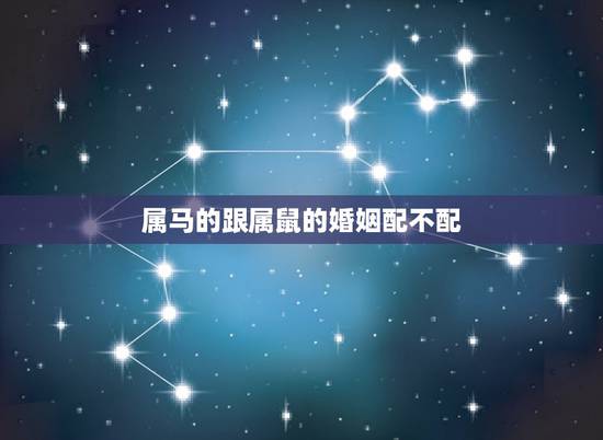 属马的跟属鼠的婚姻配不配,属马与属鼠的感情运程 属马的跟属鼠的婚姻配不配,属马与属鼠的感情运程