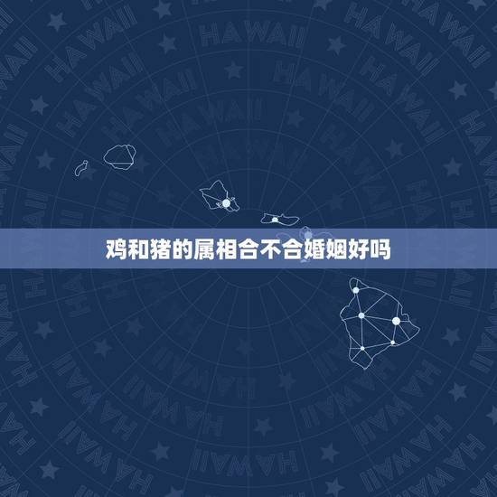 鸡和猪的属相合不合婚姻好吗,男马女蛇婚姻最终结局 鸡和猪的属相合不合婚姻好吗,男马女蛇婚姻最终结局