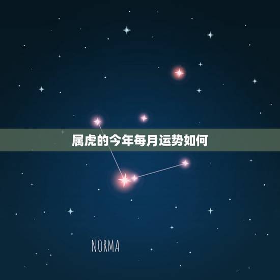 属虎的今年每月运势如何，属蛇人2022 年运势