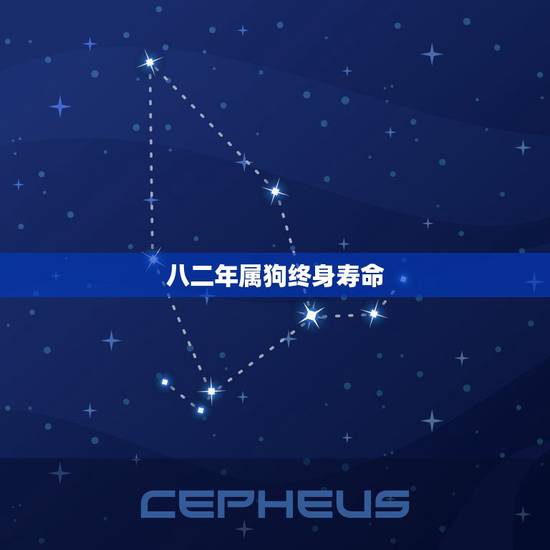 八二年属狗终身寿命,82属狗一生有几个子女 八二年属狗终身寿命,82属狗一生有几个子女