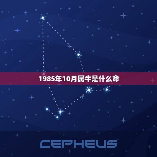 1985年10月属牛是什么命 2023属牛要小心一个人 1985年10月属牛是什么命 2023属牛要小心一个人