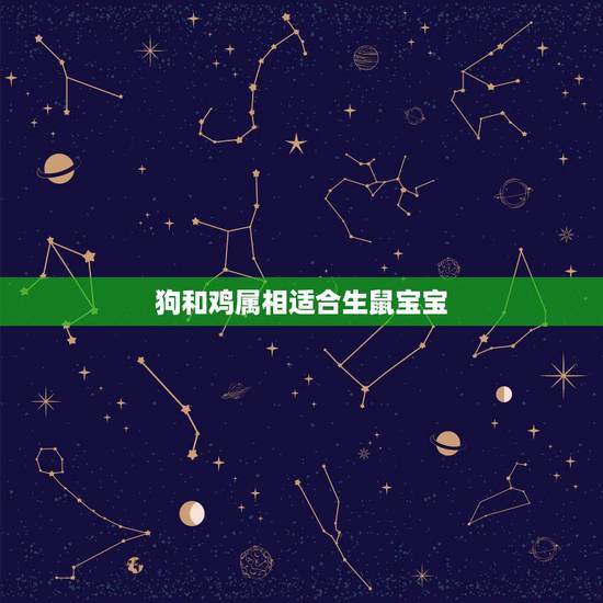 狗和鸡属相适合生鼠宝宝,属鸡和狗生个虎宝宝好不好啊? 狗和鸡属相适合生鼠宝宝,属鸡和狗生个虎宝宝好不好啊?