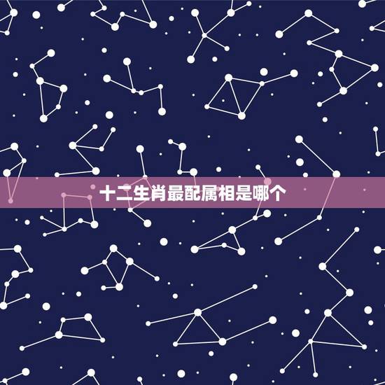 十二生肖最配属相是哪个,12生肖中,什么与什么最配? 十二生肖最配属相是哪个,12生肖中,什么与什么最配?