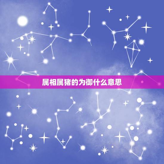 属相属猪的为御什么意思，属猪与什么属相工作最搭