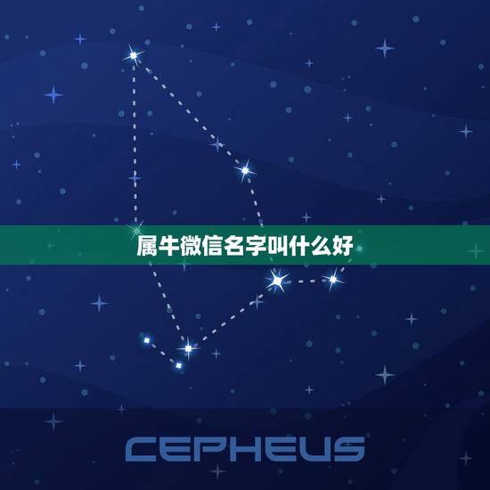 属牛微信名字叫什么好，属牛的起什么微信名最好？