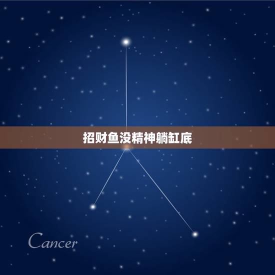 招财鱼没精神躺缸底，我家招财鱼躺在水底是怎么回事？ 急！