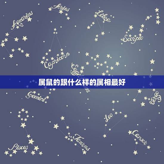 属鼠的跟什么样的属相最好,属猪和属鼠生什么属相的孩子好? 属鼠的跟什么样的属相最好,属猪和属鼠生什么属相的孩子好?
