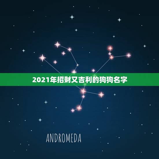 2021年招财又吉利的狗狗名字，2023招财又吉利的狗名字