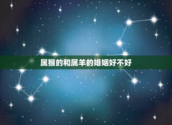 属猴的和属羊的婚姻好不好,属猴的和属羊的相配吗 属猴的和属羊的婚姻好不好,属猴的和属羊的相配吗