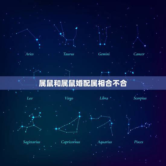 属鼠和属鼠婚配属相合不合，属鼠和什么属相不配
