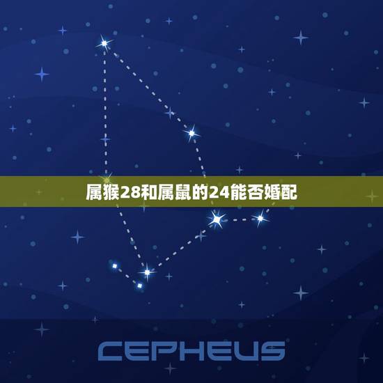属猴28和属鼠的24能否婚配，属猴与属鼠配婚如何？