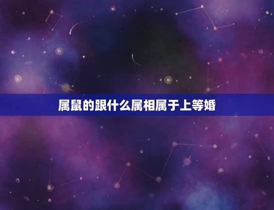 属鼠的跟什么属相属于上等婚,属鼠的和什么属相最配 属鼠的属相婚配表 属鼠的跟什么属相属于上等婚,属鼠的和什么属相最配 属鼠的属相婚配表