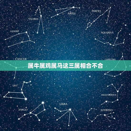 属牛属鸡属马这三属相合不合，属牛和属马的人合不合
