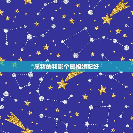 属猪的和哪个属相婚配好,属猪的婚配属相查询 属猪的和哪个属相婚配好,属猪的婚配属相查询