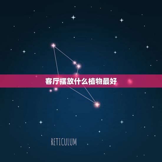 客厅摆放什么植物最好，中式装修的客厅中放什么花好