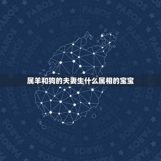 属羊和狗的夫妻生什么属相的宝宝，我属狗老公属羊，我们生个什么属相的宝宝