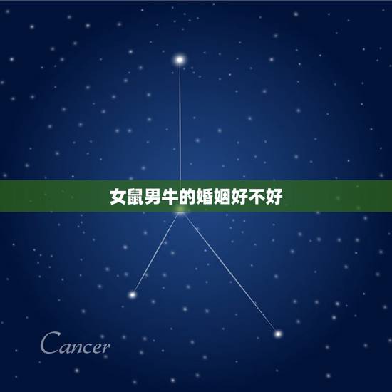 女鼠男牛的婚姻好不好,女狗男牛的婚姻好不好 女鼠男牛的婚姻好不好,女狗男牛的婚姻好不好