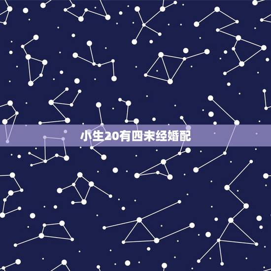 小生20有四未经婚配，小生不才敢问姑娘芳龄，是否婚配可否与我共度一生