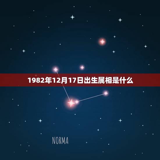 1982年12月17日出生属相是什么,1982年农历12月17日是什么 1982年12月17日出生属相是什么,1982年农历12月17日是什么
