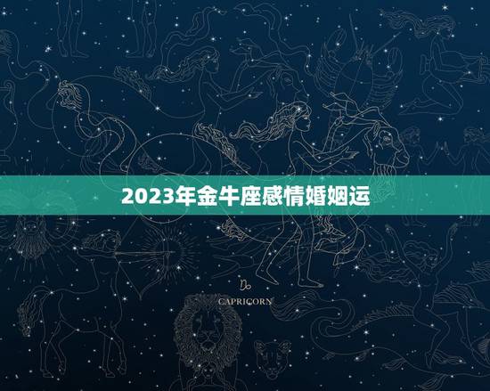 2023年金牛座感情婚姻运