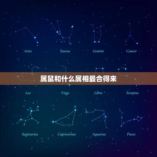 属鼠和什么属相最合得来,属鼠的人婚配属相更好 属鼠和什么属相最合得来,属鼠的人婚配属相更好