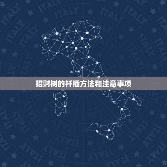 招财树的扦插方法和注意事项，招财树的繁殖方法
