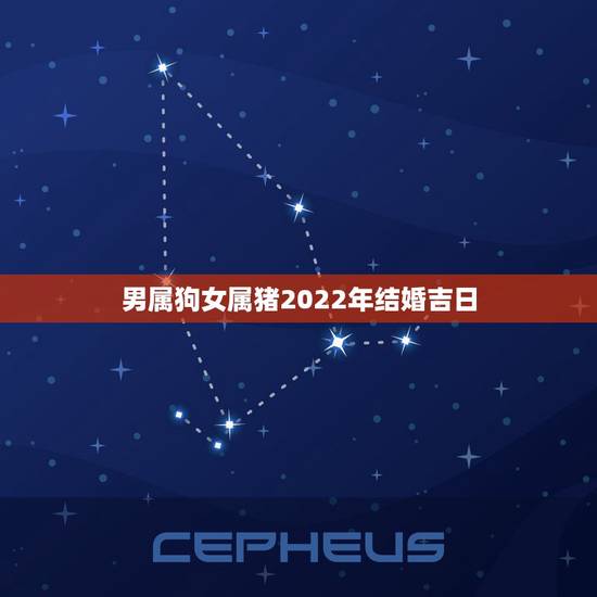 男属狗女属猪2022年结婚吉日,09年结婚吉日(男属狗女属猪) 男属狗女属猪2022年结婚吉日,09年结婚吉日(男属狗女属猪)