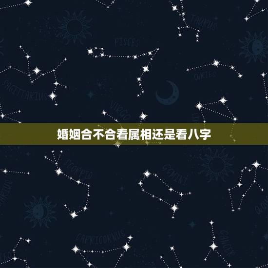 婚姻合不合看属相还是看八字,姻缘,属相重要还是生辰八字重要? 婚姻合不合看属相还是看八字,姻缘,属相重要还是生辰八字重要?