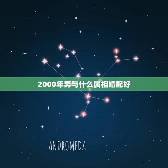 2000年男与什么属相婚配好，属龙的和什么属相最配 属龙人的婚配表