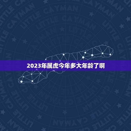 2023年属虎今年多大年龄了啊(属虎人的年龄计算方法详解) 2023年属虎今年多大年龄了啊(属虎人的年龄计算方法详解)