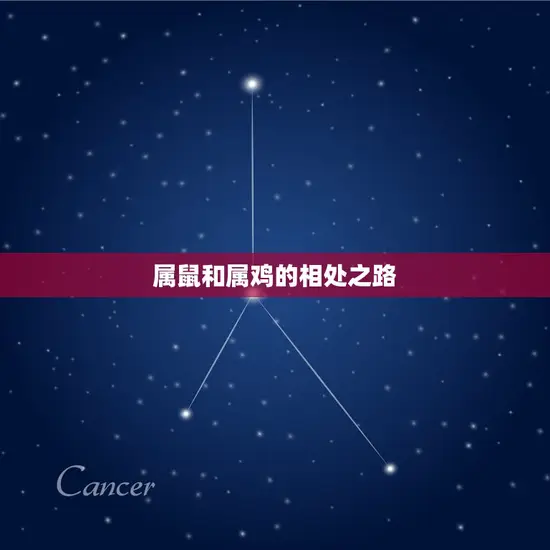 属鼠和属鸡的相处之路 属鼠和属鸡的相处之路