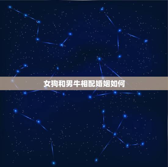 女狗和男牛相配婚姻如何，狗和牛相配婚姻如何