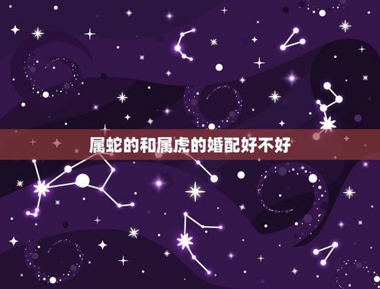 属蛇的和属虎的婚配好不好，属蛇和属虎的相配吗