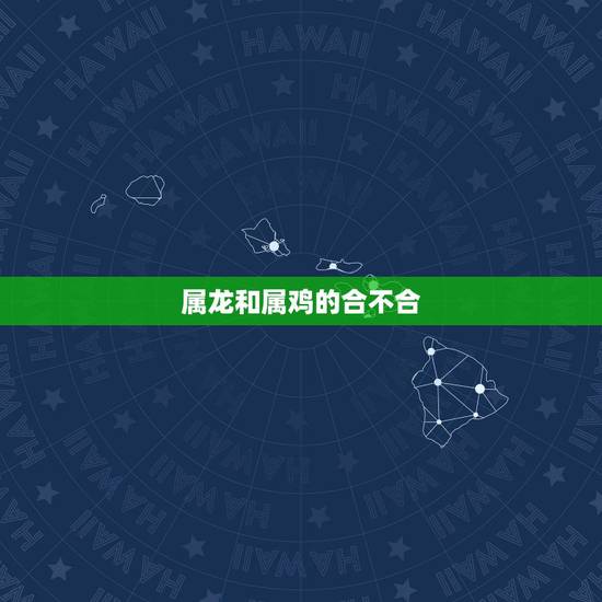 属龙和属鸡的合不合,龙和鸡在一起财运好吗 属龙和属鸡的合不合,龙和鸡在一起财运好吗