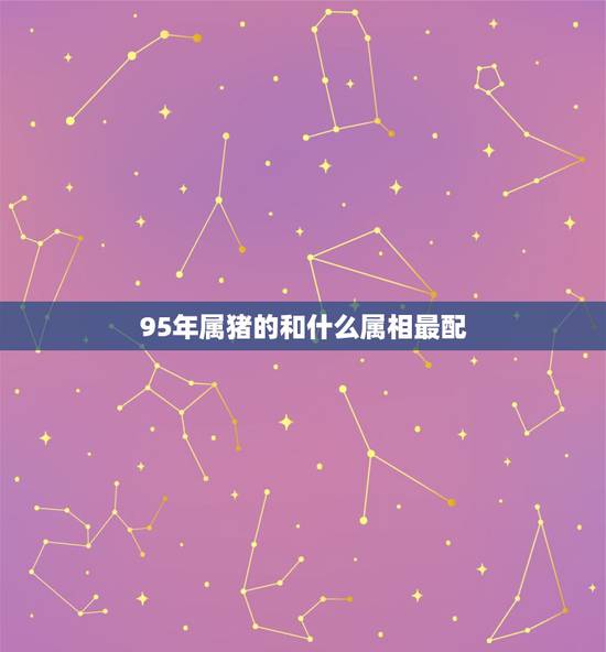 95年属猪的和什么属相最配,95年属猪男的和什么属相最配 1995年属 95年属猪的和什么属相最配,95年属猪男的和什么属相最配 1995年属