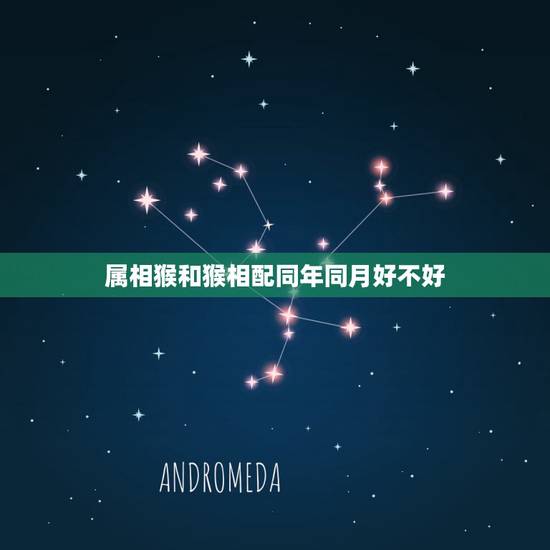 属相猴和猴相配同年同月好不好,属猴的同年同月结婚不好么?会相克么 属相猴和猴相配同年同月好不好,属猴的同年同月结婚不好么?会相克么