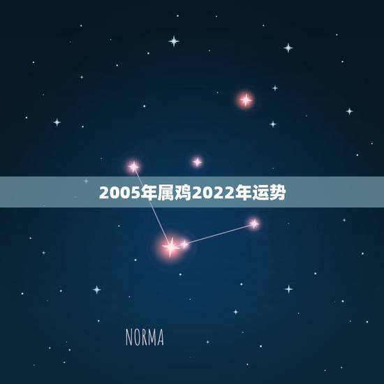 2005年属鸡2022年运势，属相算卦2005年生的属鸡人的2023年