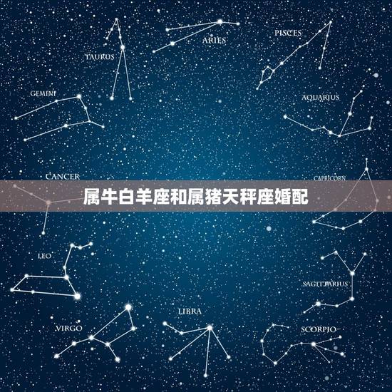 属牛白羊座和属猪天秤座婚配,属牛白羊座和属鼠天秤座配吗 在一起合不合 属牛白羊座和属猪天秤座婚配,属牛白羊座和属鼠天秤座配吗 在一起合不合