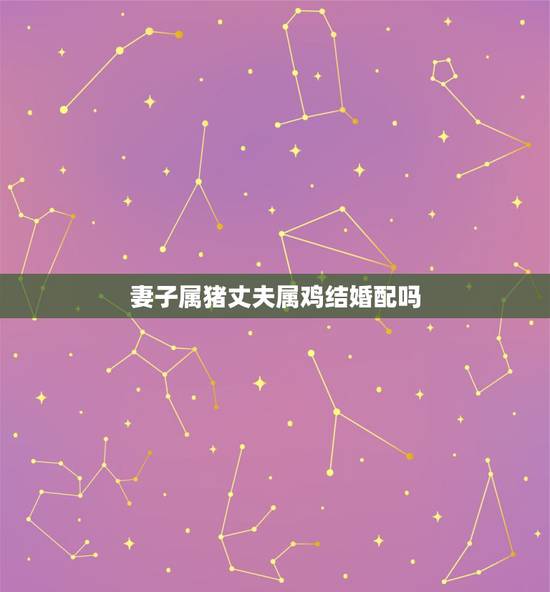 妻子属猪丈夫属鸡结婚配吗，属猪女人和属鸡男人在一起配不配？