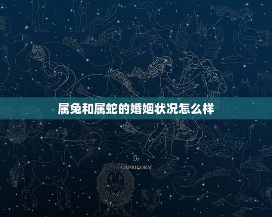 属兔和属蛇的婚姻状况怎么样，属兔的和属蛇的结婚，当天忌讳什么属相