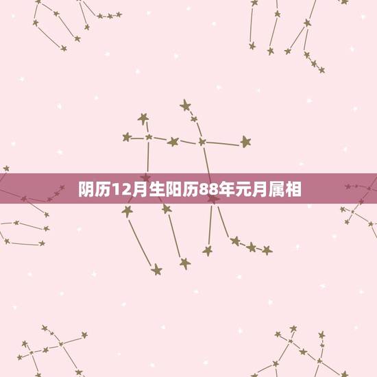 阴历12月生阳历88年元月属相,1988年阳历1月26日是什么属相,阴 阴历12月生阳历88年元月属相,1988年阳历1月26日是什么属相,阴