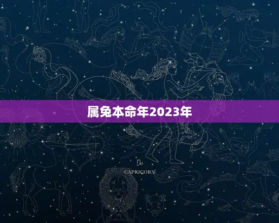 属兔本命年2023年