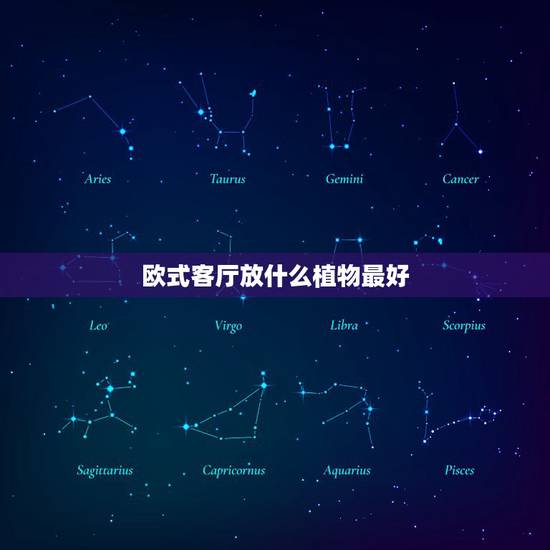 欧式客厅放什么植物最好,欧式大花客厅怎样装修效果图 欧式客厅放什么植物最好,欧式大花客厅怎样装修效果图