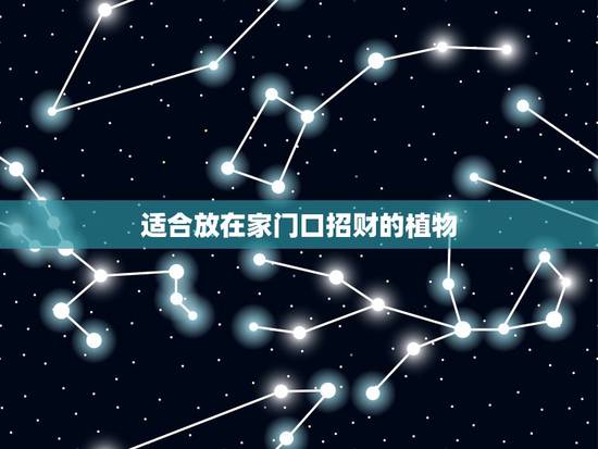 适合放在家门口招财的植物，客厅放什么植物招财